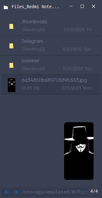 SpyNote File Manager - Remote Android File Access & Control